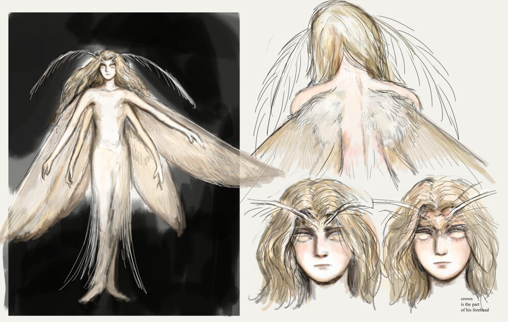 Mothquella concepts